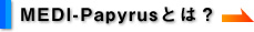 MEDI-PapyrusƂ́H