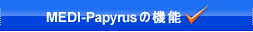 MEDI-Papyrus̋@\