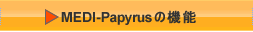 MEDI-Papyrus̋@\